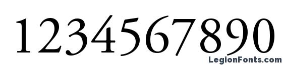 AGaramondPro Regular Font, Number Fonts