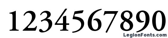 AGaramondPro Semibold Font, Number Fonts
