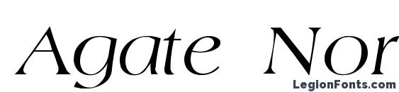 Agate Normal Italic Font