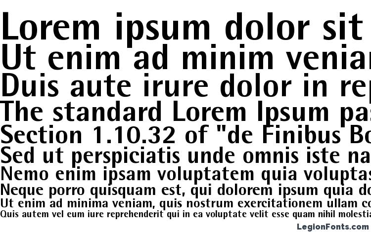 specimens AgfaRotisSemisansExtraBold font, sample AgfaRotisSemisansExtraBold font, an example of writing AgfaRotisSemisansExtraBold font, review AgfaRotisSemisansExtraBold font, preview AgfaRotisSemisansExtraBold font, AgfaRotisSemisansExtraBold font