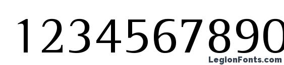 AgfaRotisSemiSerif Font, Number Fonts