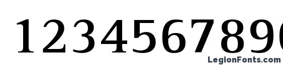 AgfaRotisSerif Bold Font, Number Fonts