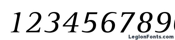 AgfaRotisSerif Italic Font, Number Fonts