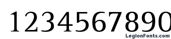 AgfaRotisSerif Font, Number Fonts