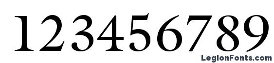 AGGalleon Roman Font, Number Fonts
