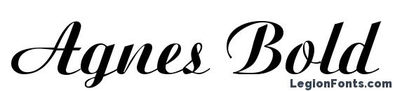 Agnes Bold font, free Agnes Bold font, preview Agnes Bold font