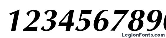 AGOptCyrillic Bold Italic Font, Number Fonts