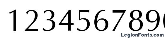 AGOpus Roman Font, Number Fonts