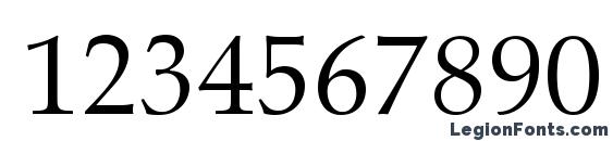 Aldus LT Roman Font, Number Fonts