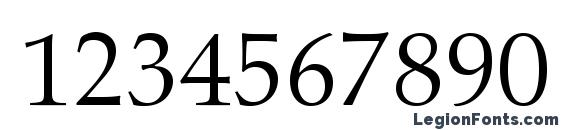 AldusLTStd Roman Font, Number Fonts