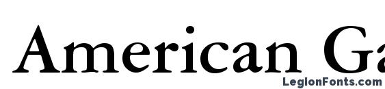 American Garamond Bold BT Font