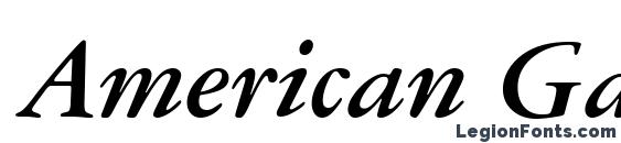 Шрифт American Garamond Bold Italic BT