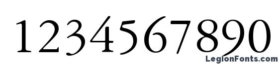 American Garamond BT Font, Number Fonts