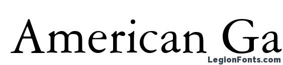 American Garamond BT font, free American Garamond BT font, preview American Garamond BT font