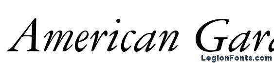 Шрифт American Garamond Italic BT
