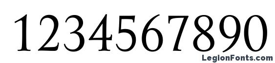 Amor Serif Pro Font, Number Fonts