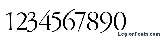 Amsterdamer Garamont Regular Font, Number Fonts