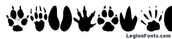 AnimalTracks Font, Number Fonts