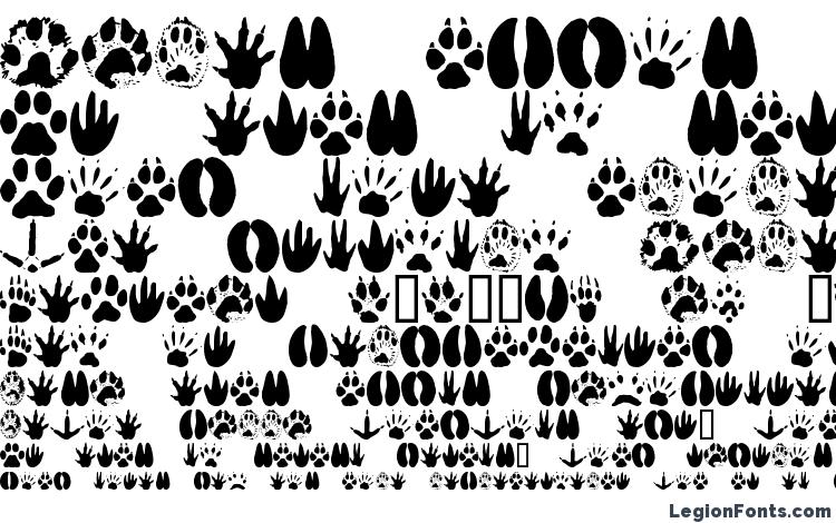 specimens AnimalTracks font, sample AnimalTracks font, an example of writing AnimalTracks font, review AnimalTracks font, preview AnimalTracks font, AnimalTracks font