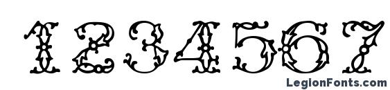 Antiq Font, Number Fonts