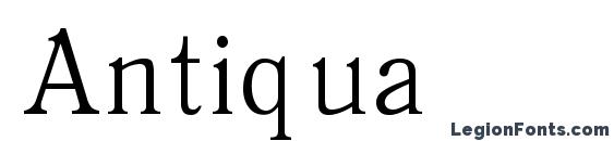 Antiqua font, free Antiqua font, preview Antiqua font