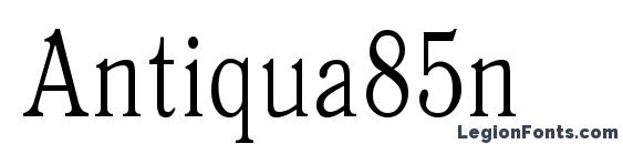 шрифт Antiqua85n, бесплатный шрифт Antiqua85n, предварительный просмотр шрифта Antiqua85n