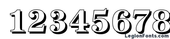 AntiquaSh Bold Font, Number Fonts
