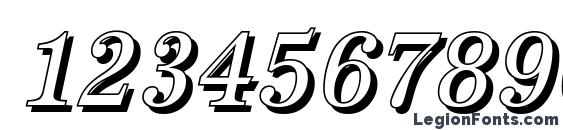 AntiquaSh Cd Italic Font, Number Fonts
