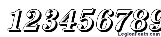 AntiquaSh Cd Medium Italic Font, Number Fonts