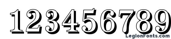 AntiquaSh Cd Regular Font, Number Fonts