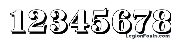 AntiquaSh Cd Xbold Regular Font, Number Fonts