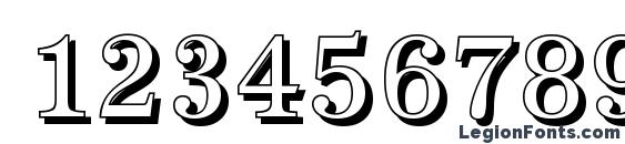 AntiquaSh Regular Font, Number Fonts