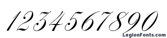 Antonella script Font, Number Fonts