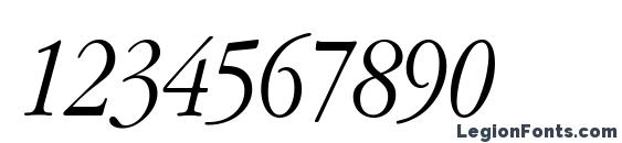 Apple Garamond Light Italic Font, Number Fonts