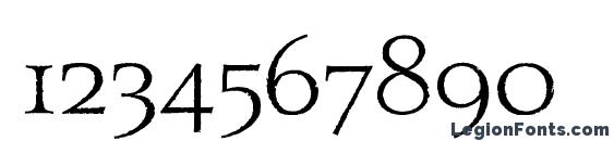 Aquinas Plain Font, Number Fonts