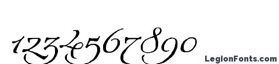 ArcanaGMMStd Manuscript Font, Number Fonts
