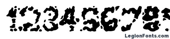Archipelago Font, Number Fonts