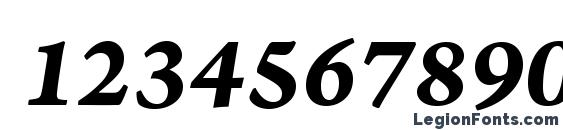 ArnoPro BoldItalicCaption Font, Number Fonts