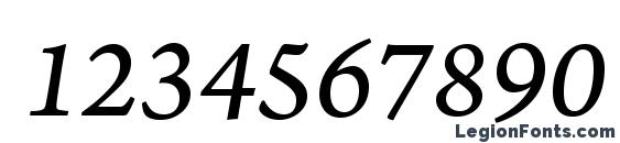 ArnoPro ItalicCaption Font, Number Fonts