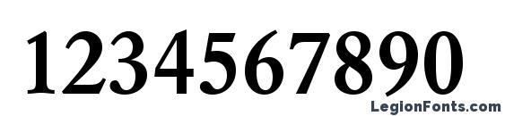 Azgaramondc bold Font, Number Fonts