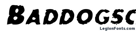 Baddogscapsssk italic font, free Baddogscapsssk italic font, preview Baddogscapsssk italic font