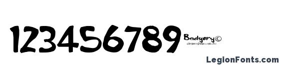 Badgery Font, Number Fonts