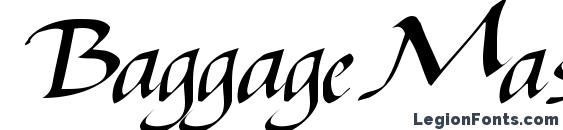 BaggageMasterText79 Regular ttcon Font