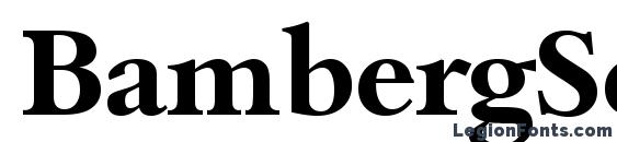 BambergSerial Bold Font