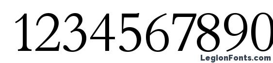 BambergSerial Light Regular Font, Number Fonts