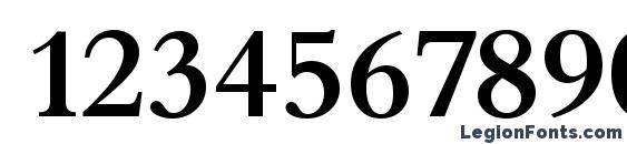 BambergSerial Medium Regular Font, Number Fonts