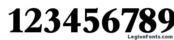 BambergSerial Xbold Regular Font, Number Fonts