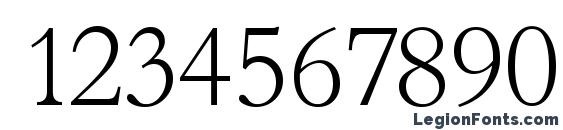 BambergSerial Xlight Regular Font, Number Fonts