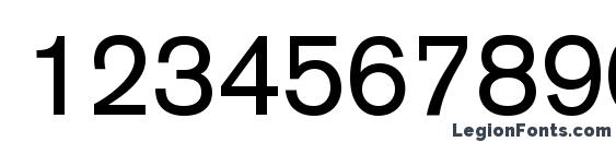 BasicCommercial LT Roman Font, Number Fonts