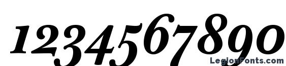 Baskerville Ten Pro Bold Italic Font, Number Fonts